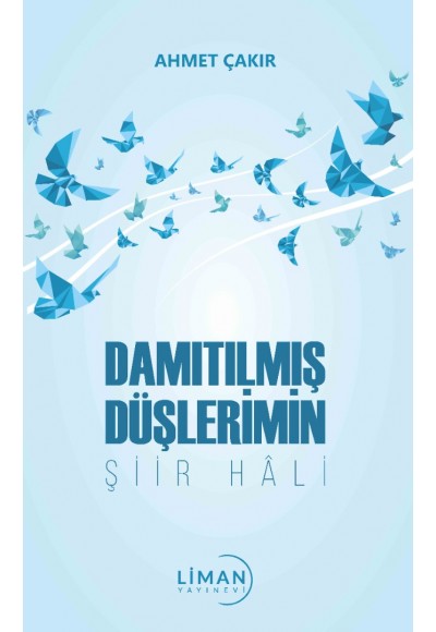 Damıtılmış Düşlerimin Şiir Hali