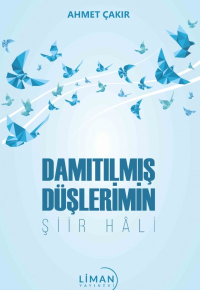 Damıtılmış Düşlerimin Şiir Hali