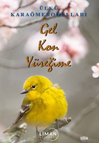 Gel Kon Yüreği̇me