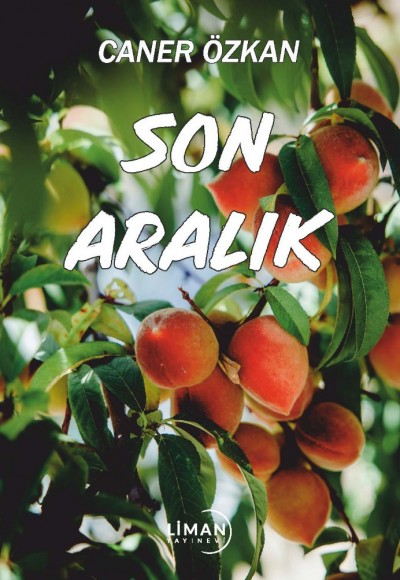 SON ARALIK